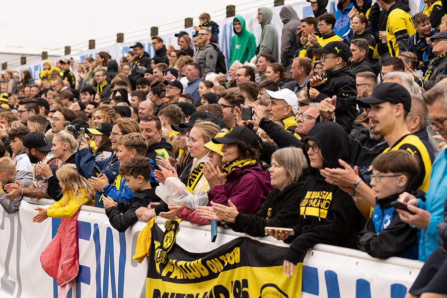 Fankurve beim Traumspiel BVB gegen dew21